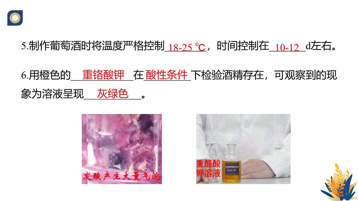 人教版高中生物选修3 1-1《传统发酵技术的应用(第2课时)》教学课件2第6页