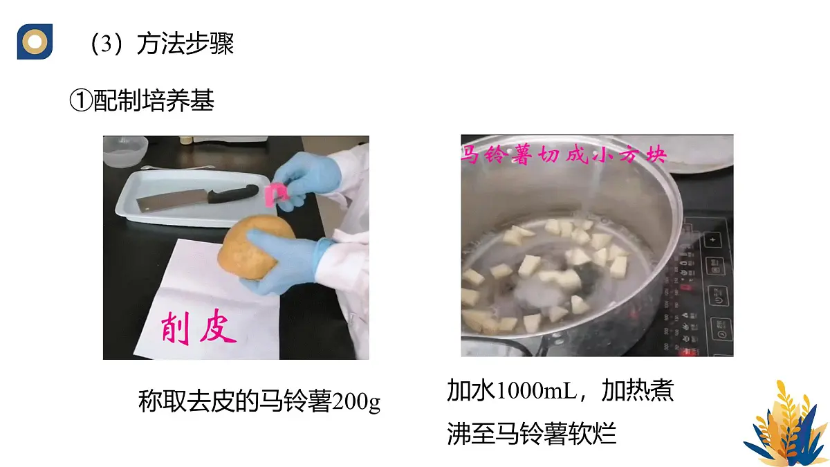 人教版高中生物选修3 1-2《微生物的基本培养技术(第2课时)》教学课件第4页