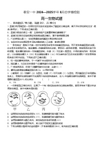 山东省泰安第一中学2024-2025学年高一下学期6月月考生物试题(Word版附答案)