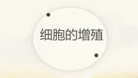 高中生物人教版 (2019)必修1《分子与细胞》细胞的增殖教课ppt课件