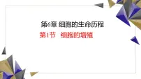 人教版 (2019)必修1《分子与细胞》细胞的增殖课文配套课件ppt