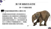 必修1《分子与细胞》细胞的增殖课文ppt课件