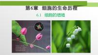 高中生物人教版 (2019)必修1《分子与细胞》细胞的增殖教学ppt课件