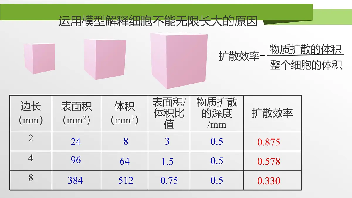 人教版高中生物必修1 6-1《第2课时 细胞的增殖》教学课件第4页