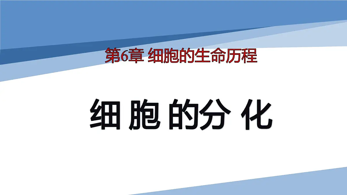 人教版高中生物必修1 6-2《第1课时 细胞的分化》课件第1页