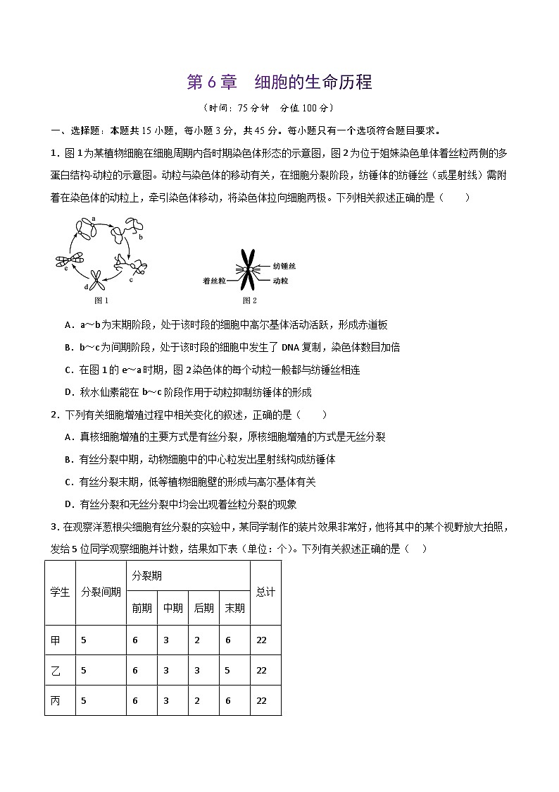 人教版高中生物必修1第6章 细胞的生命历程 能力提升卷 无答案第1页