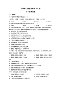 人教版高一上学期期中 生物试题 无答案