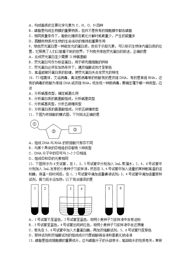 人教版高一上学期期中联考生物试卷 无答案第2页