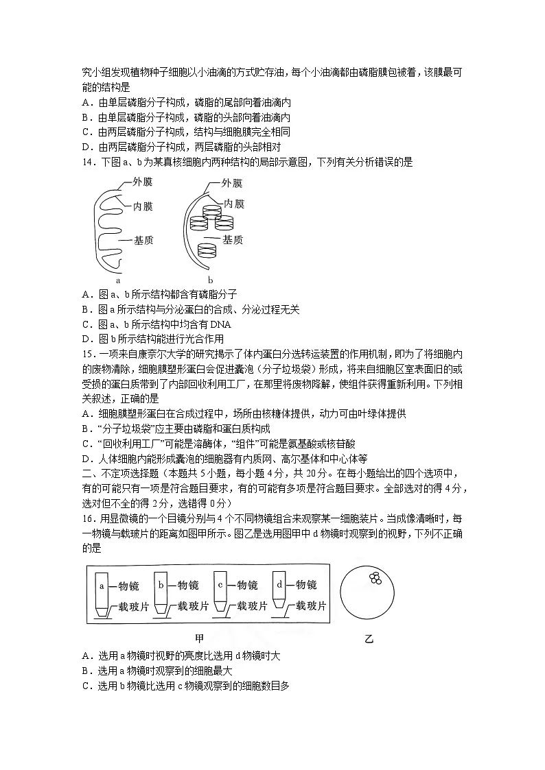人教版高一上学期期中联考生物试卷 无答案第3页