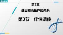 高中生物人教版 (2019)必修2《遗传与进化》伴性遗传教学课件ppt