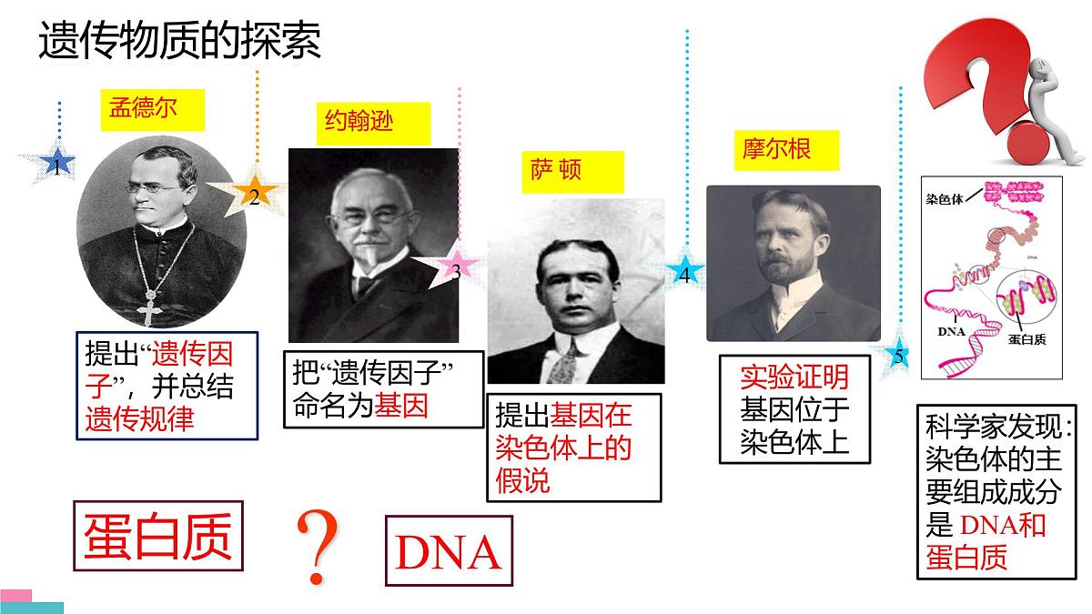 人教版高中生物必修2《3-1 DNA是主要的遗传物质》课件第3页