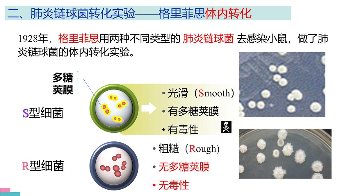人教版高中生物必修2《3-1 DNA是主要的遗传物质》课件第6页