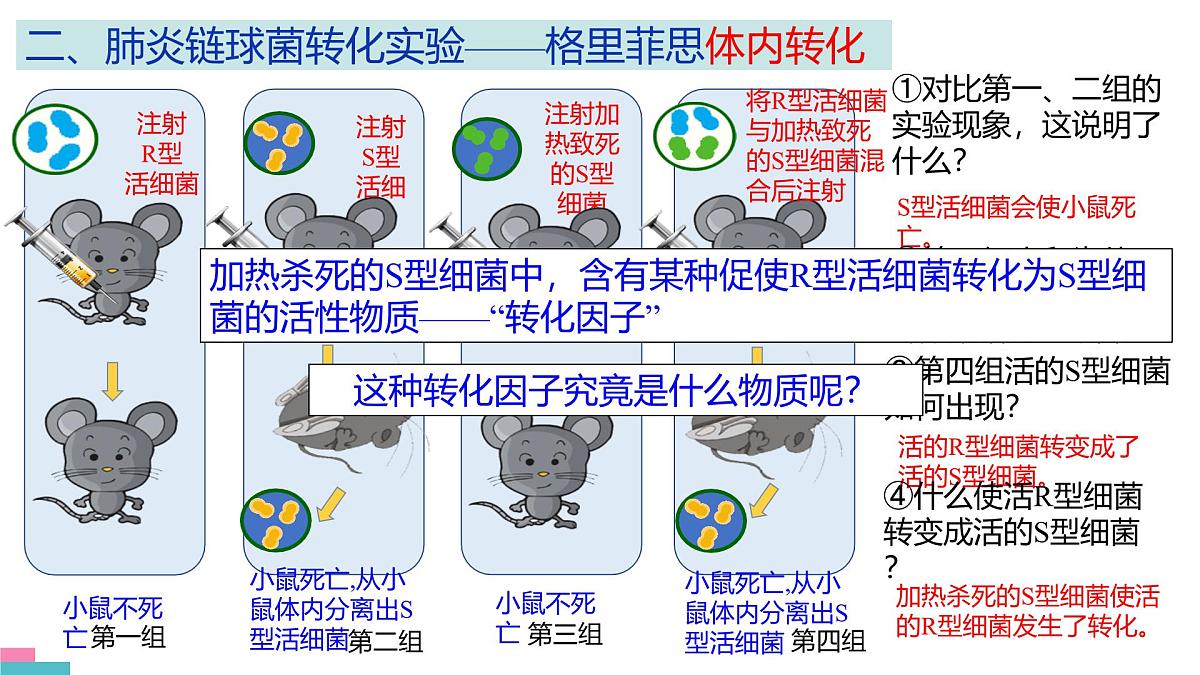 人教版高中生物必修2《3-1 DNA是主要的遗传物质》课件第7页