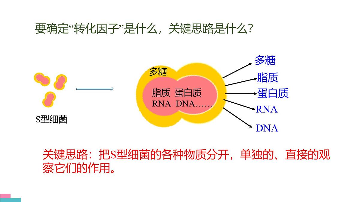 人教版高中生物必修2《3-1 DNA是主要的遗传物质》课件第8页