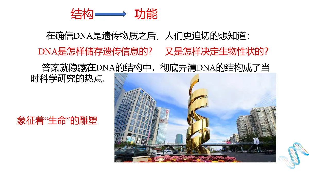 人教版高中生物必修2《3-2 DNA的结构》课件第1页