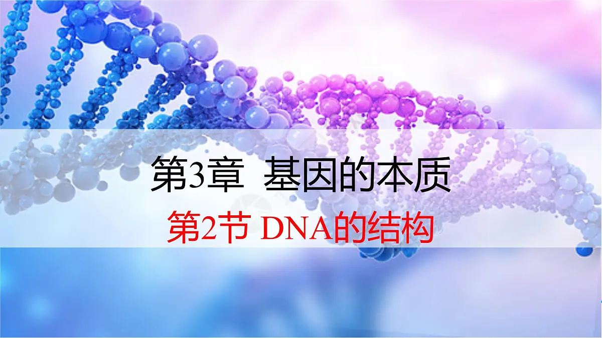 人教版高中生物必修2《3-2 DNA的结构》课件第2页