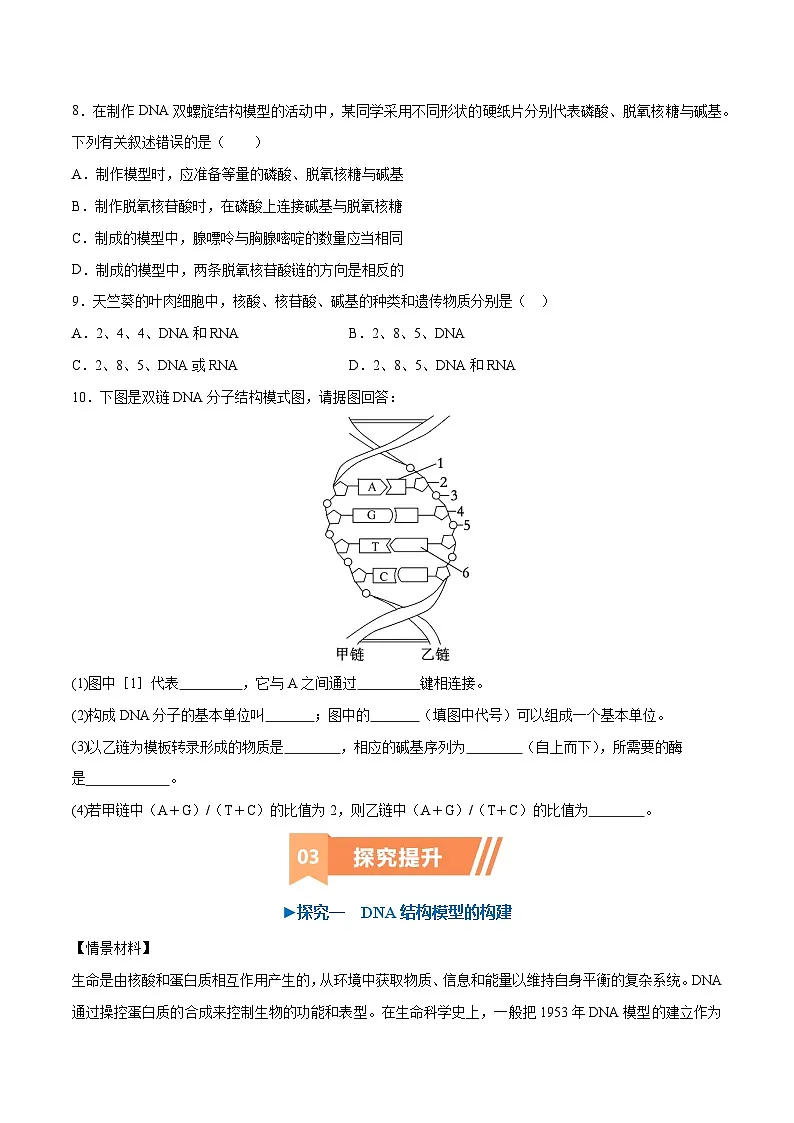 人教版高中生物必修2《3-2 DNA的结构(第1课时)》学与练 无答案第3页