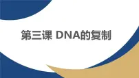 人教版 (2019)必修2《遗传与进化》DNA的复制教学课件ppt
