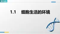 人教版 (2019)选择性必修1细胞生活的环境多媒体教学课件ppt