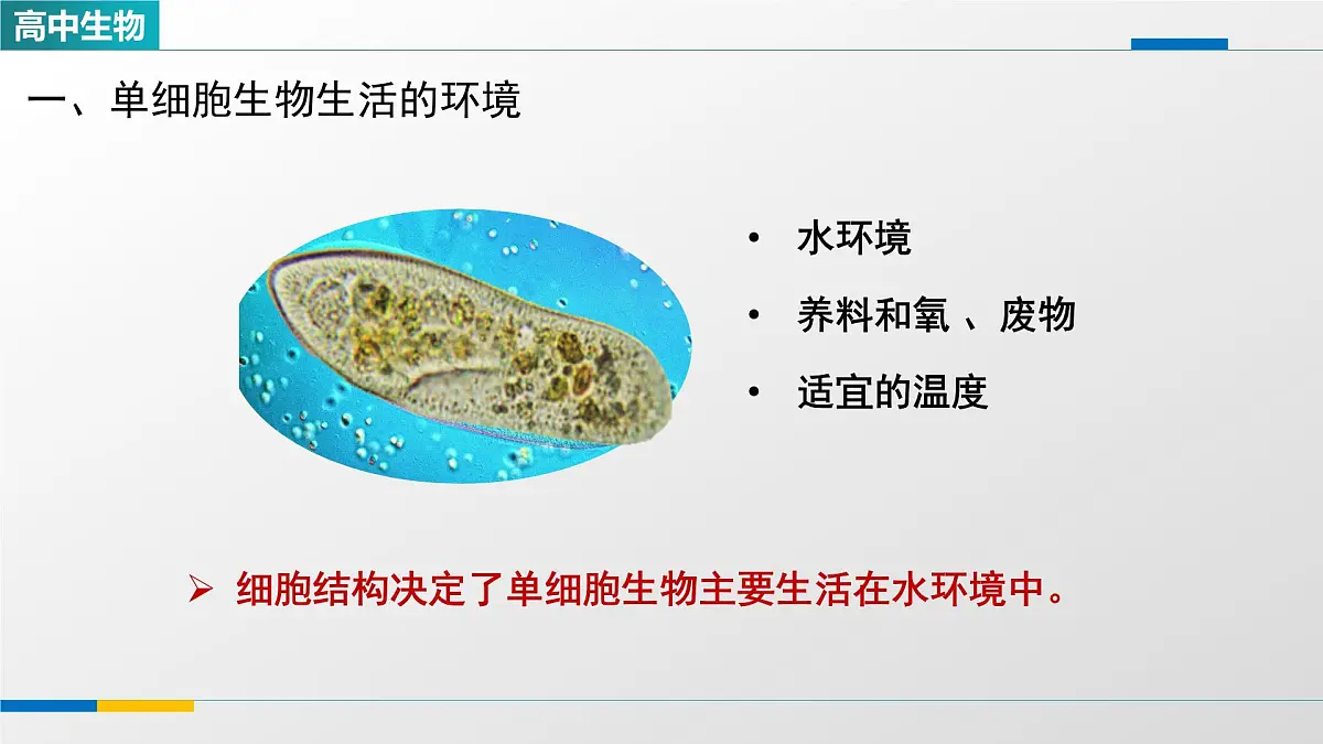 人教版高中生物选修1 1-1《细胞生活的环境》课件第3页