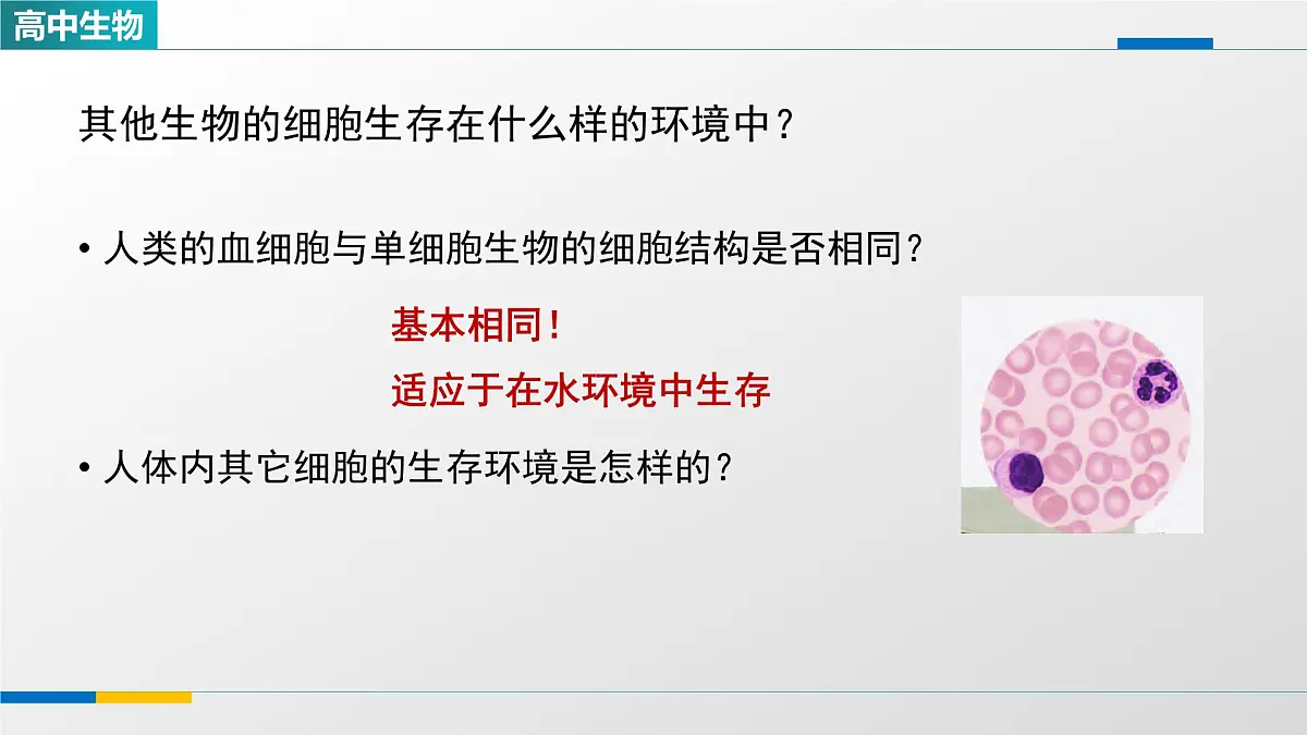 人教版高中生物选修1 1-1《细胞生活的环境》课件第4页