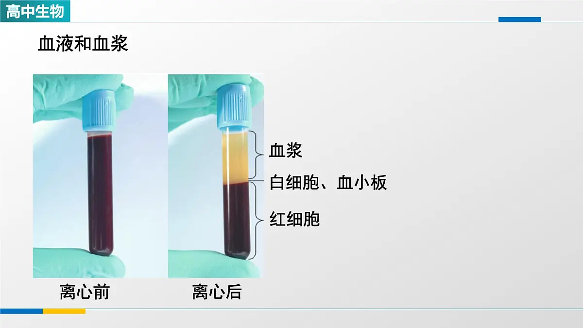人教版高中生物选修1 1-1《细胞生活的环境》课件第6页