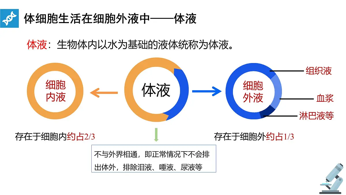人教版高中生物选修1《1-1 细胞生活的环境》课件第5页