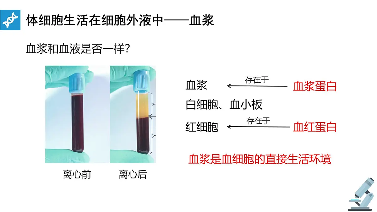 人教版高中生物选修1《1-1 细胞生活的环境》课件第6页