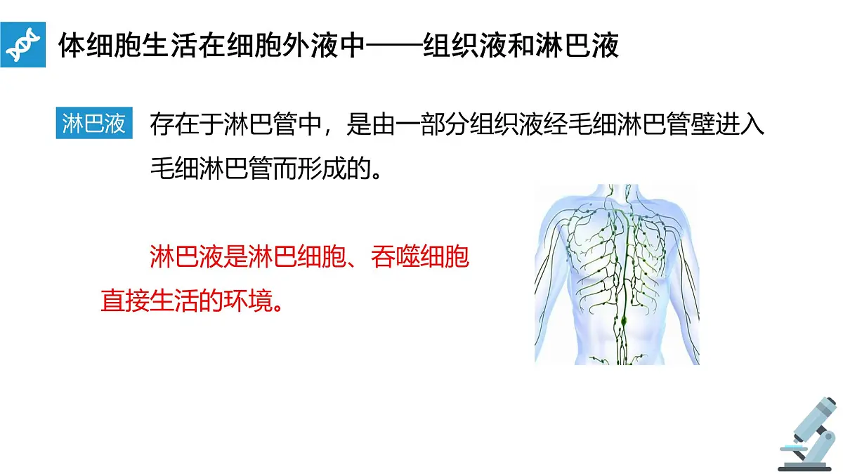 人教版高中生物选修1《1-1 细胞生活的环境》课件第8页