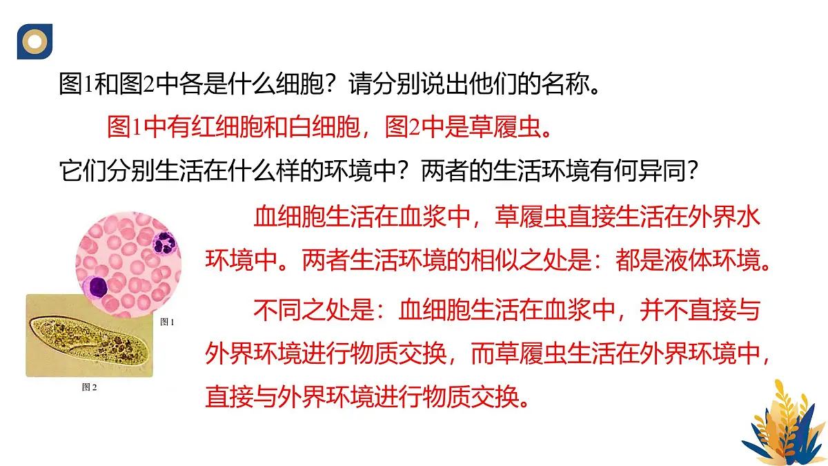 人教版高中生物选修1《1-1 细胞生活的环境》课件第2页