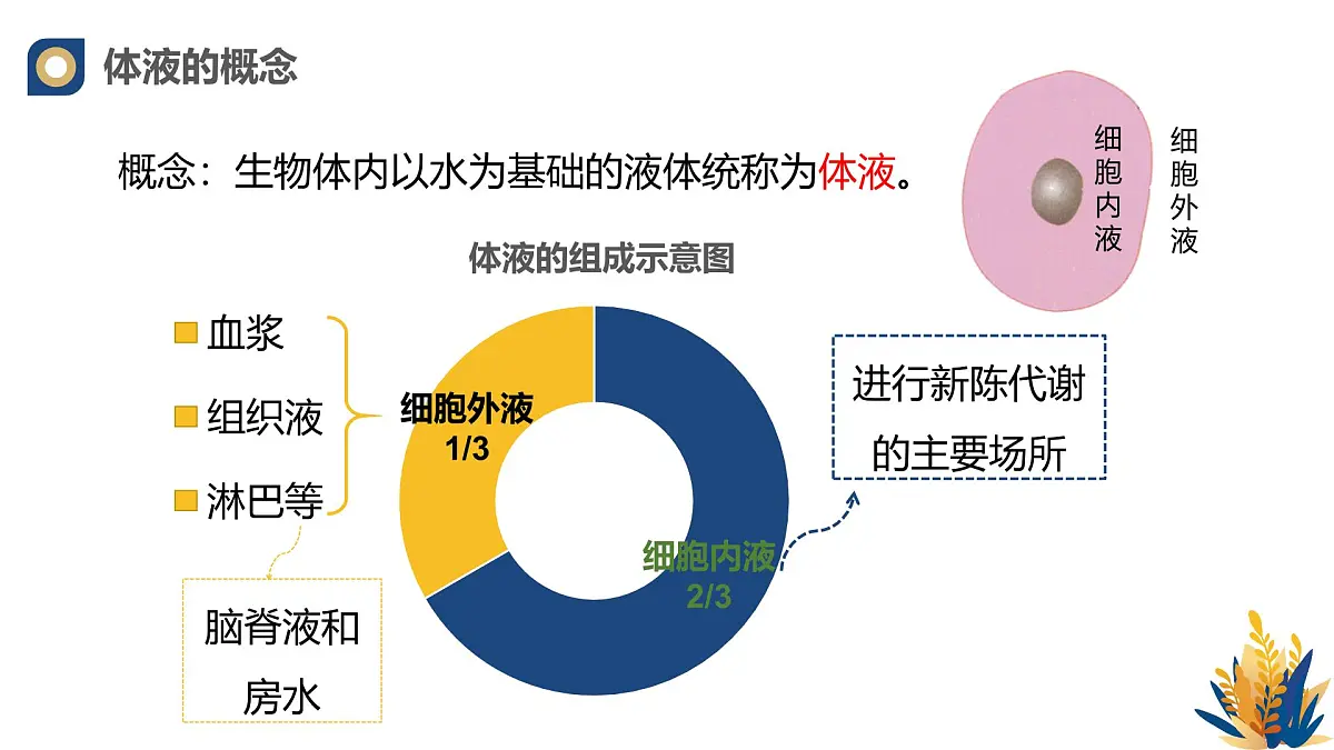 人教版高中生物选修1《1-1 细胞生活的环境》课件第4页