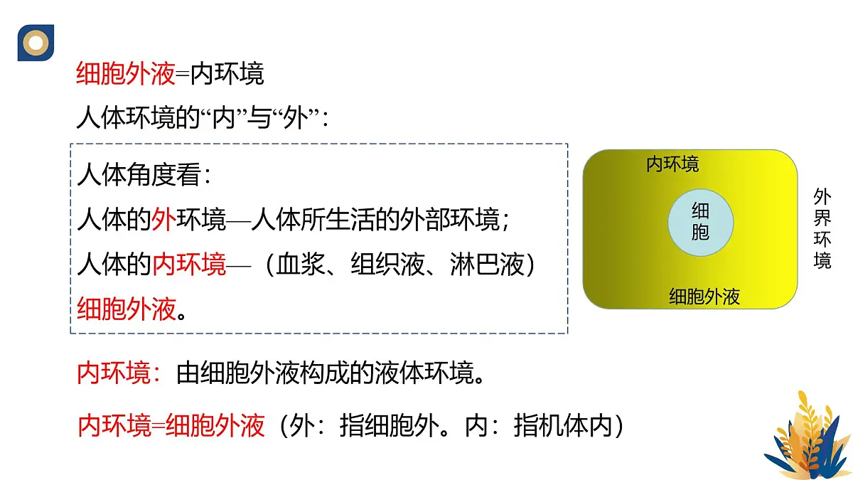 人教版高中生物选修1《1-1 细胞生活的环境》课件第5页