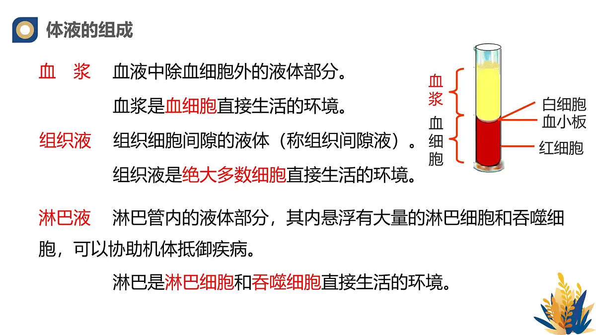 人教版高中生物选修1《1-1 细胞生活的环境》课件第6页