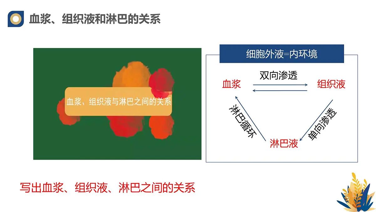 人教版高中生物选修1《1-1 细胞生活的环境》课件第8页