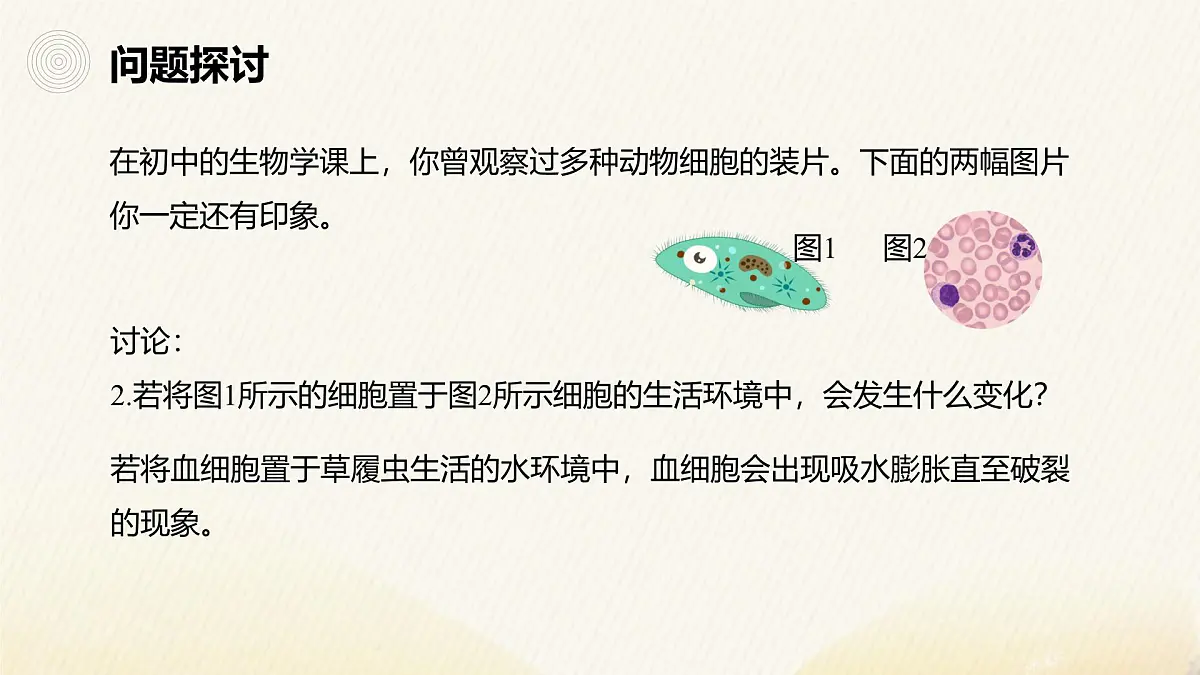 人教版高中生物选修1《1-1 细胞生活的环境》课件第3页