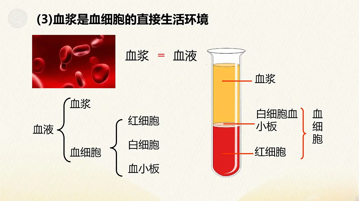 人教版高中生物选修1《1-1 细胞生活的环境》课件第6页