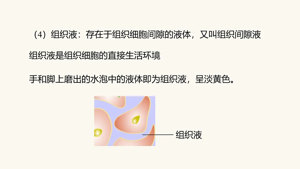 人教版高中生物选修1《1-1 细胞生活的环境》课件第7页