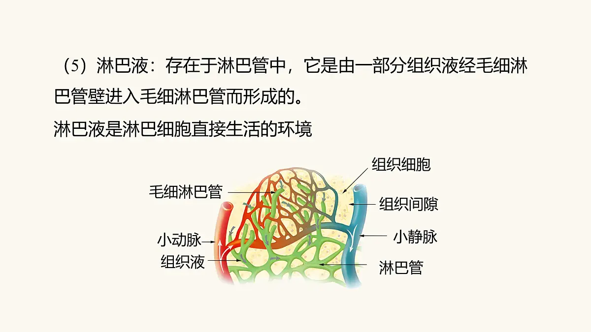 人教版高中生物选修1《1-1 细胞生活的环境》课件第8页