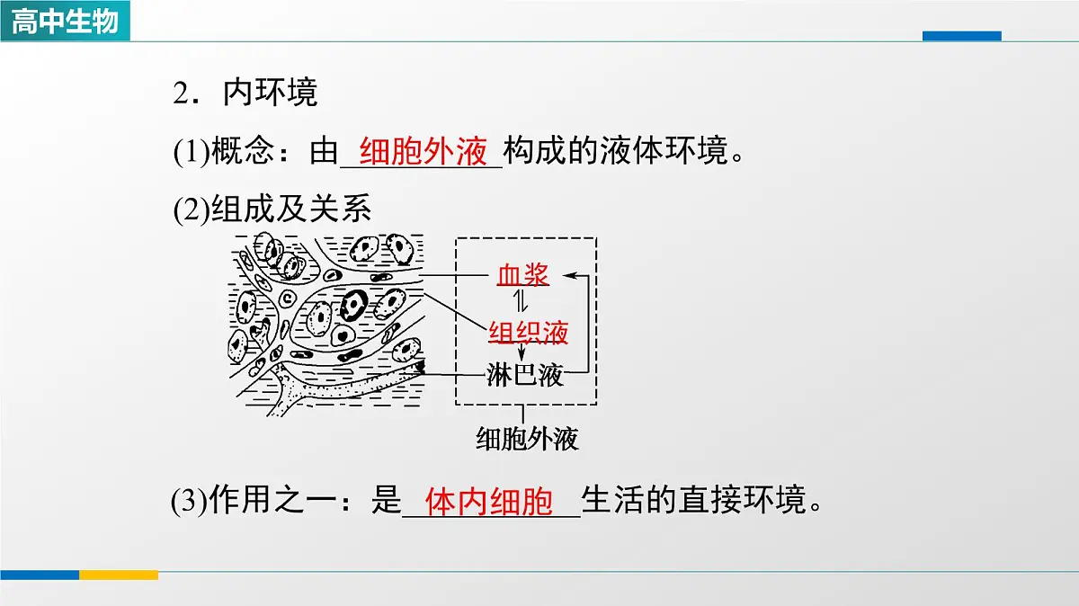 人教版高中生物选修1《1-1细胞生活的环境》教学课件第3页