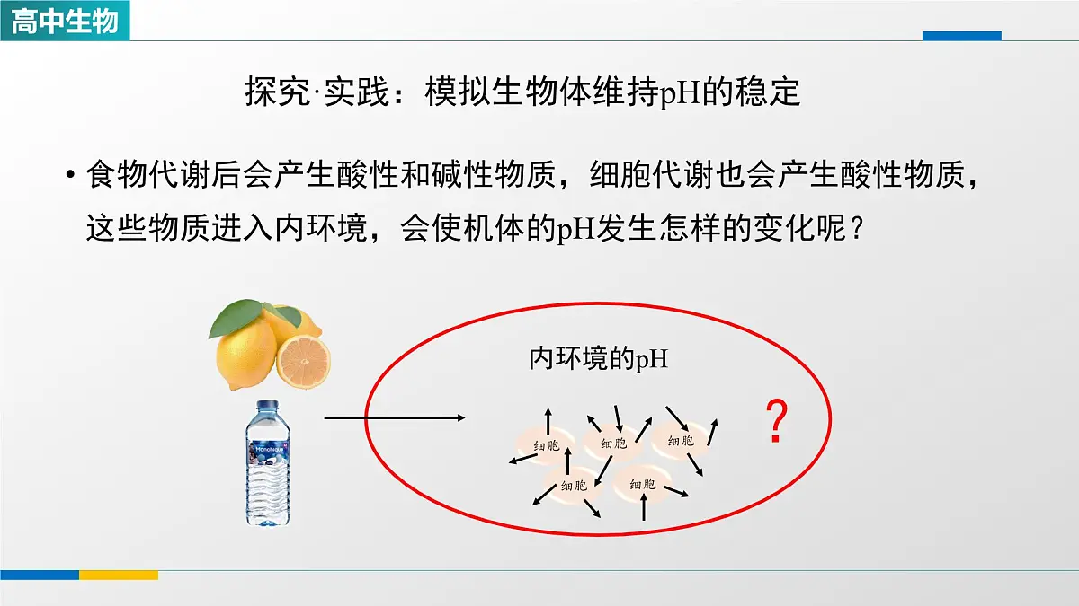 人教版高中生物选修1 1-2《内环境的稳态(第一课时)》课件第3页