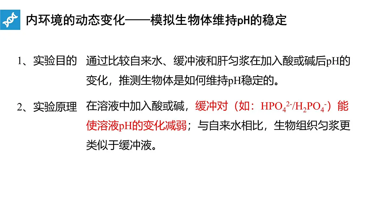 人教版高中生物选修1《1-2 内环境的稳态》课件第4页