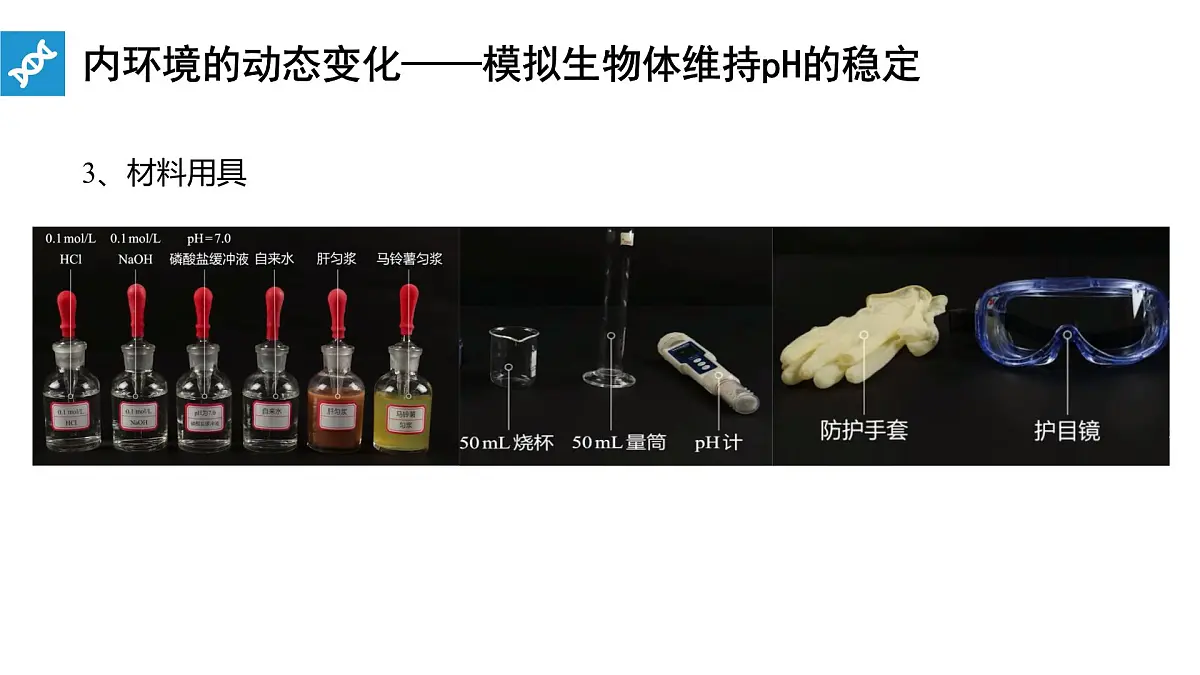 人教版高中生物选修1《1-2 内环境的稳态》课件第5页