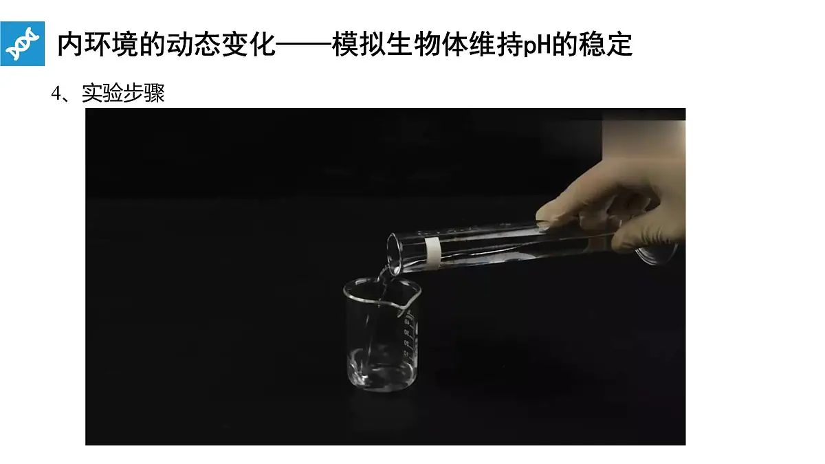 人教版高中生物选修1《1-2 内环境的稳态》课件第6页