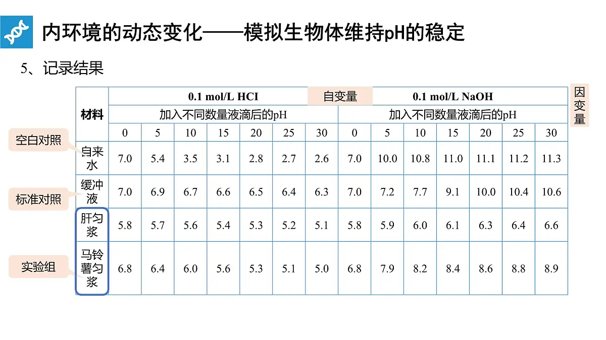 人教版高中生物选修1《1-2 内环境的稳态》课件第7页