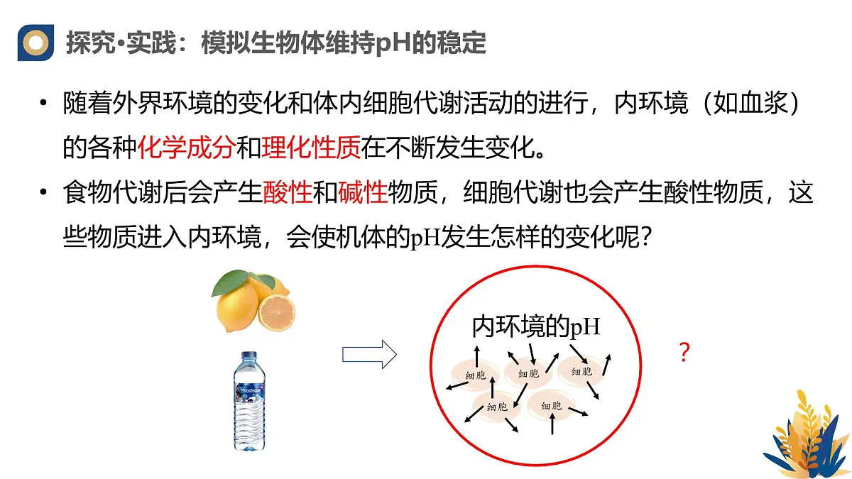 人教版高中生物选修1《1-2 内环境的稳态》课件第8页