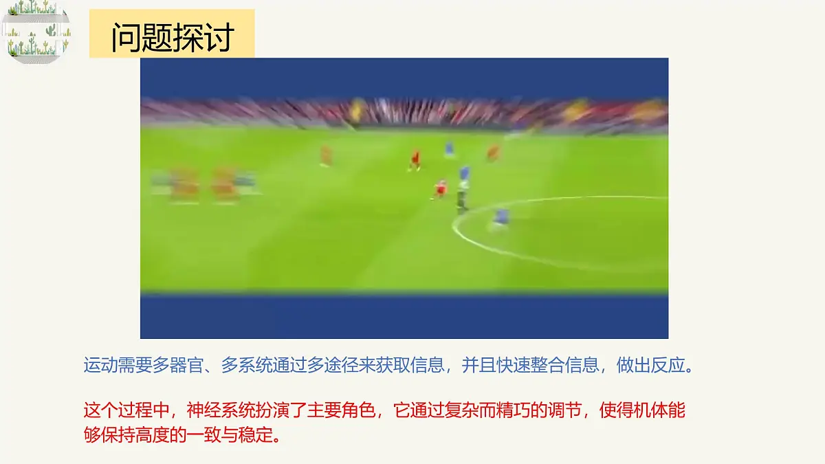 人教版高中生物选修1《2-1 神经调节的结构基础》课件第1页