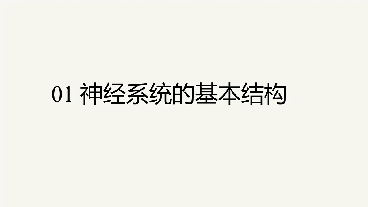 人教版高中生物选修1《2-1 神经调节的结构基础》课件第5页