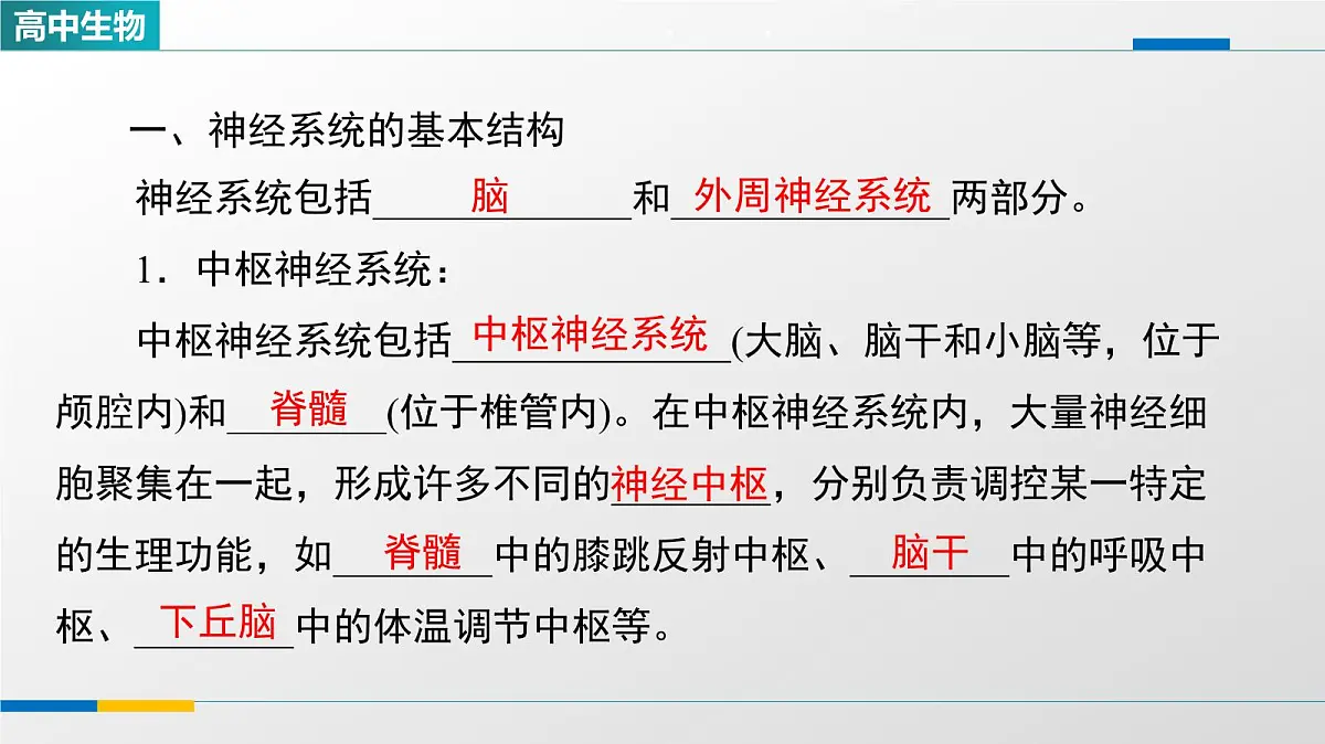 人教版高中生物选修1《2-1神经调节的结构基础》教学课件第2页