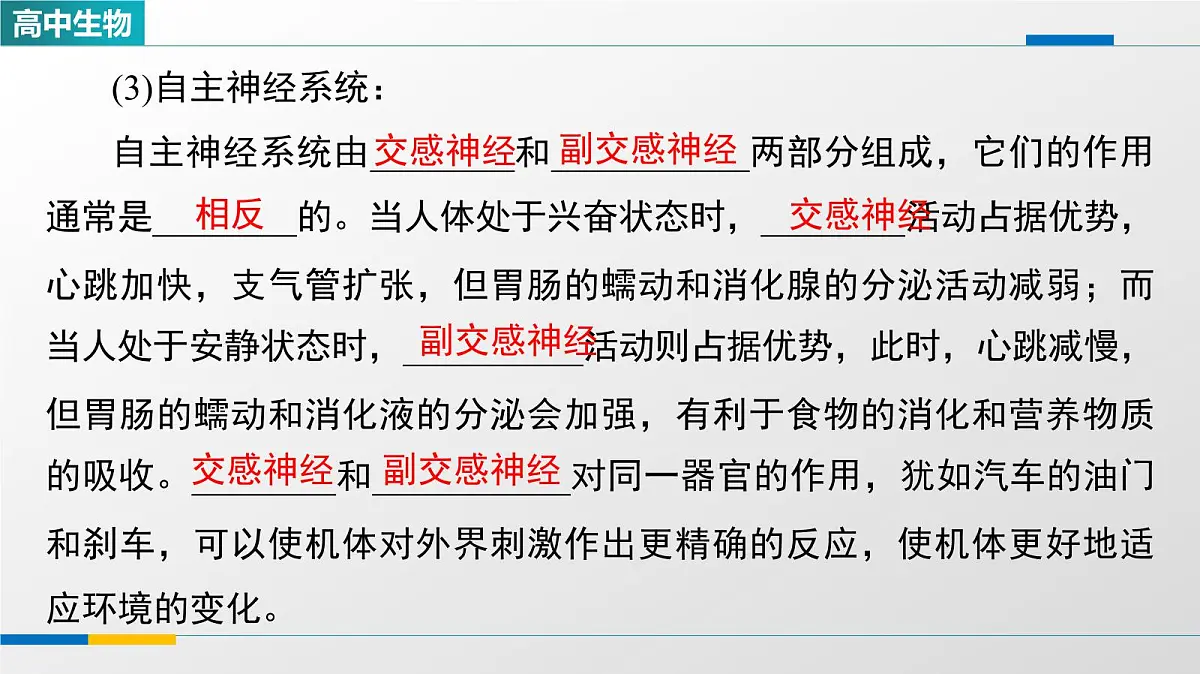 人教版高中生物选修1《2-1神经调节的结构基础》教学课件第6页