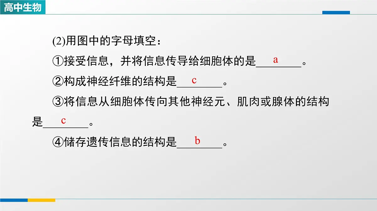 人教版高中生物选修1《2-1神经调节的结构基础》教学课件第8页